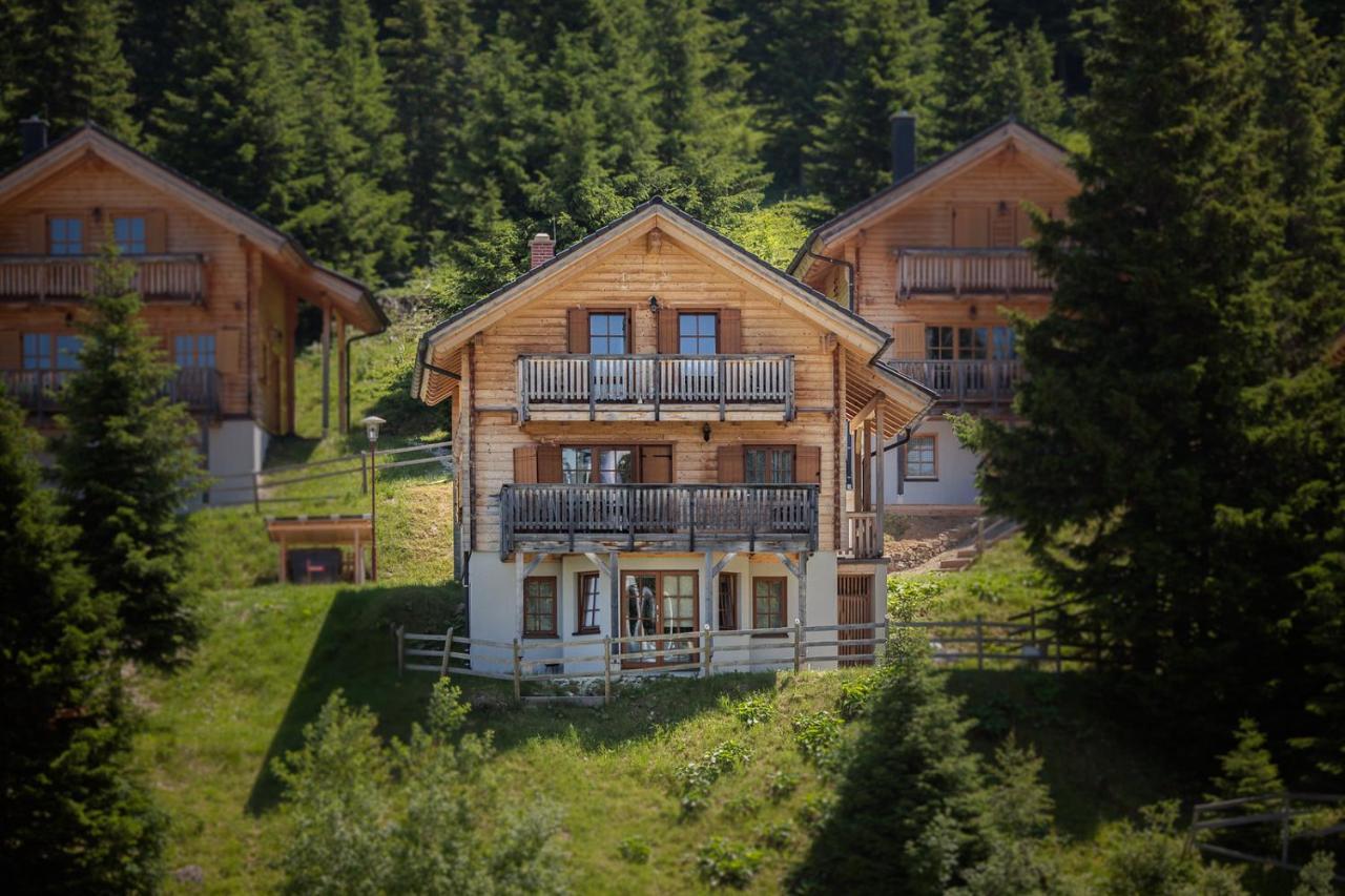 Feriendorf Koralpe By Alps Residence Elsenbrunn Exteriér fotografie